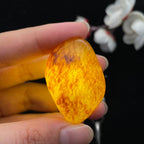 和田玉满洒金皮籽料（29.2g）