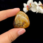 和田玉秋梨皮籽料吊坠籽（14.5g）