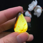 和田玉黑黄皮籽料（8.1g）