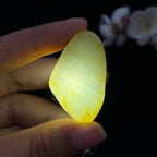 和田玉聚黄皮青花底籽料挂件（19.6g）
