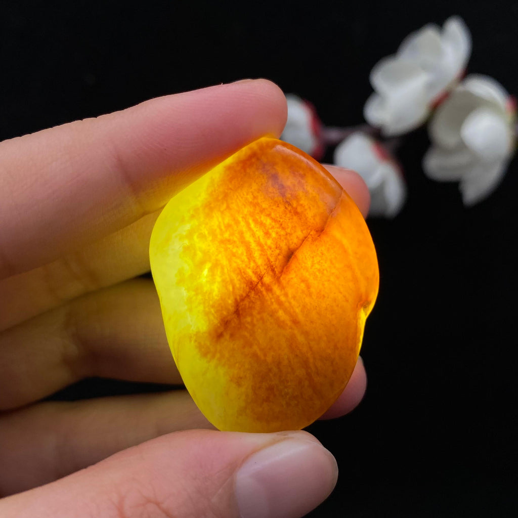 和田玉聚黄皮籽料（16.7g）