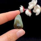 和田玉秋梨皮沙枣青籽料（4.8g）