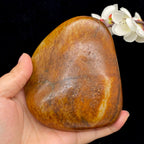 和田玉聚红皮籽料（667.4g）