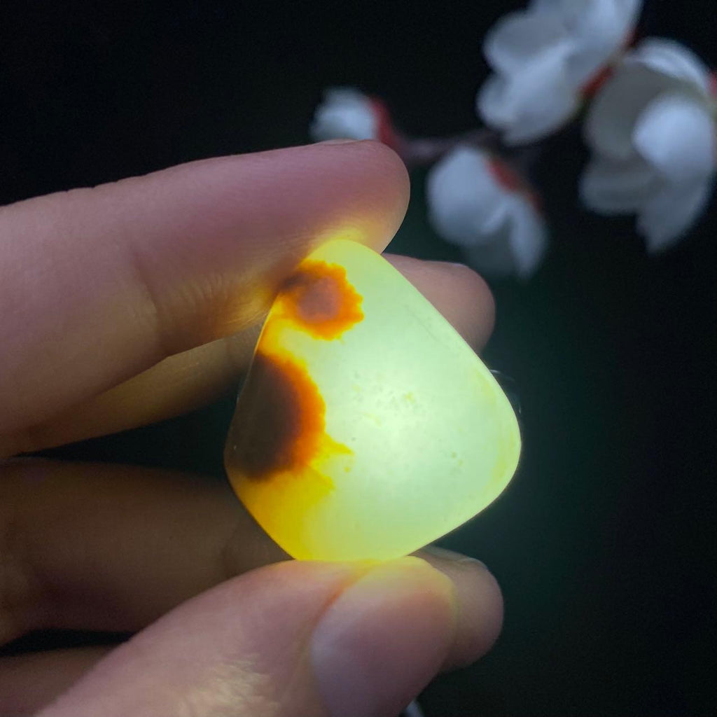 和田玉聚黄皮籽料（6.5g）