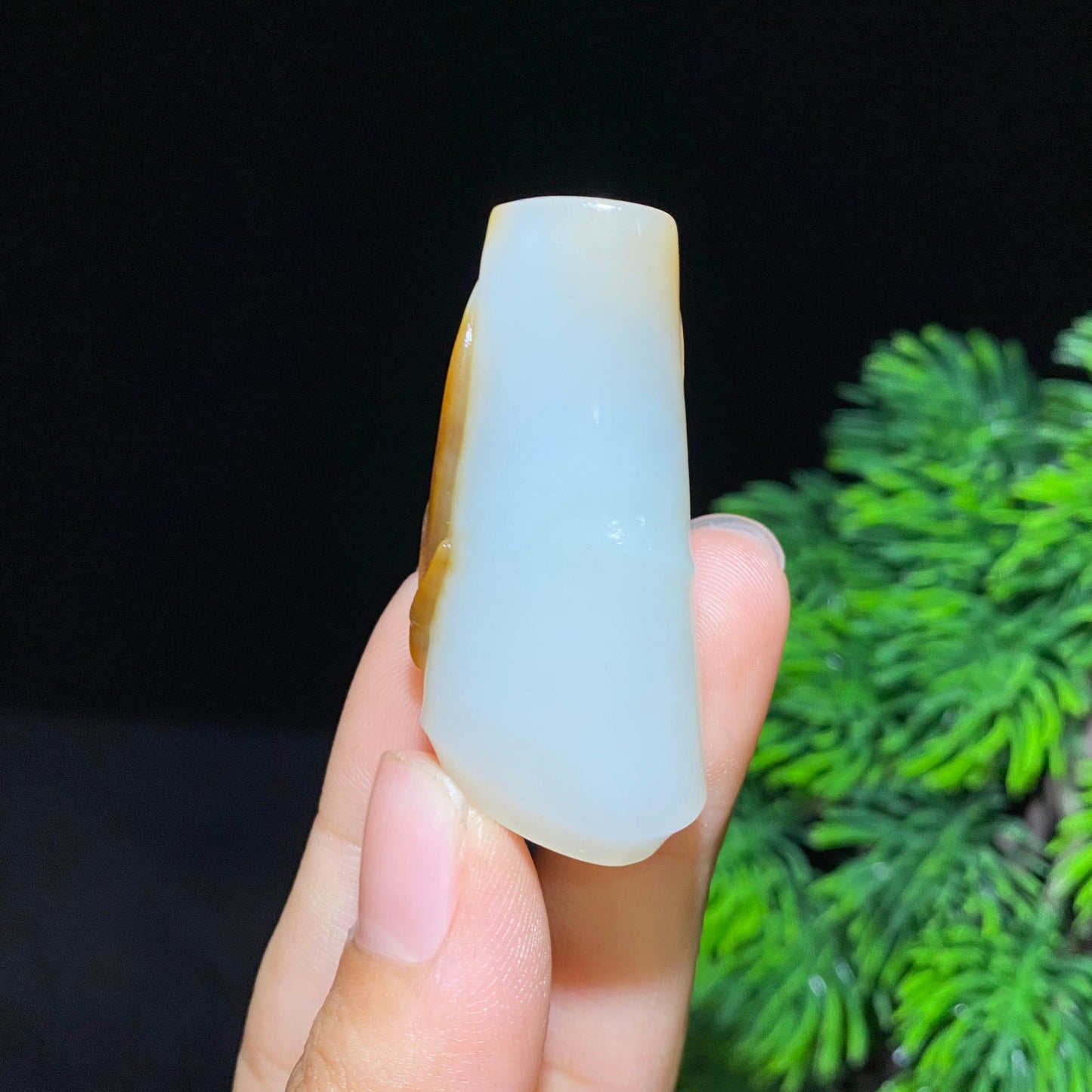 和田糖白玉蝉一鸣惊人挂件（21.2g）