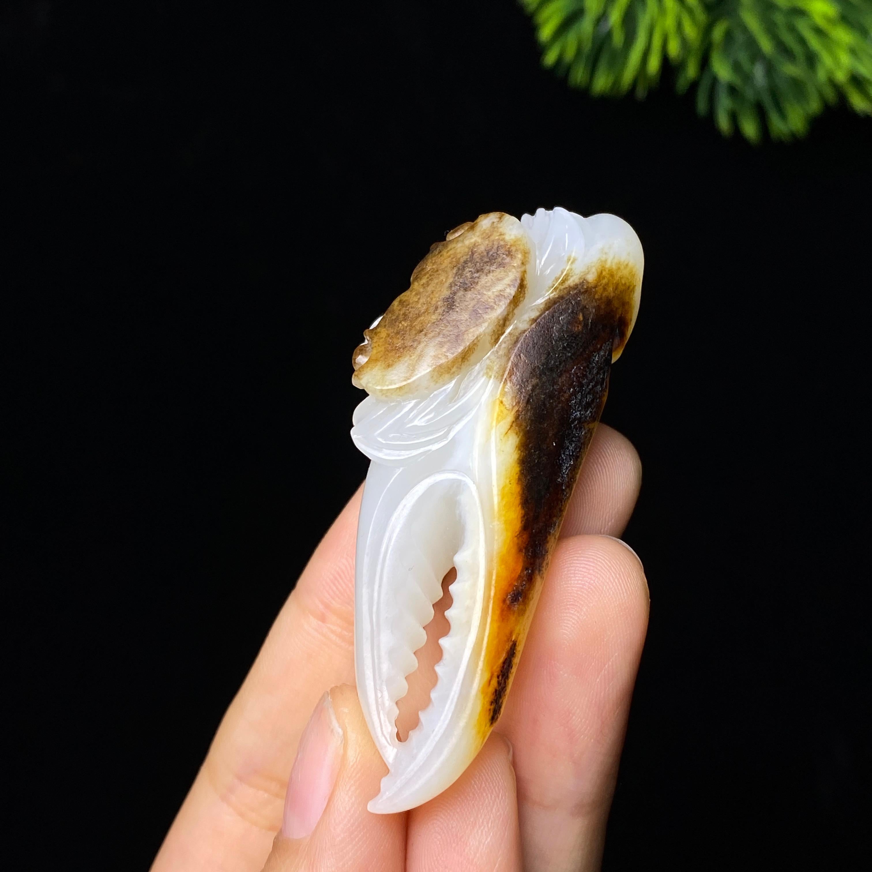 和田玉籽料八方来财（26.0g）
