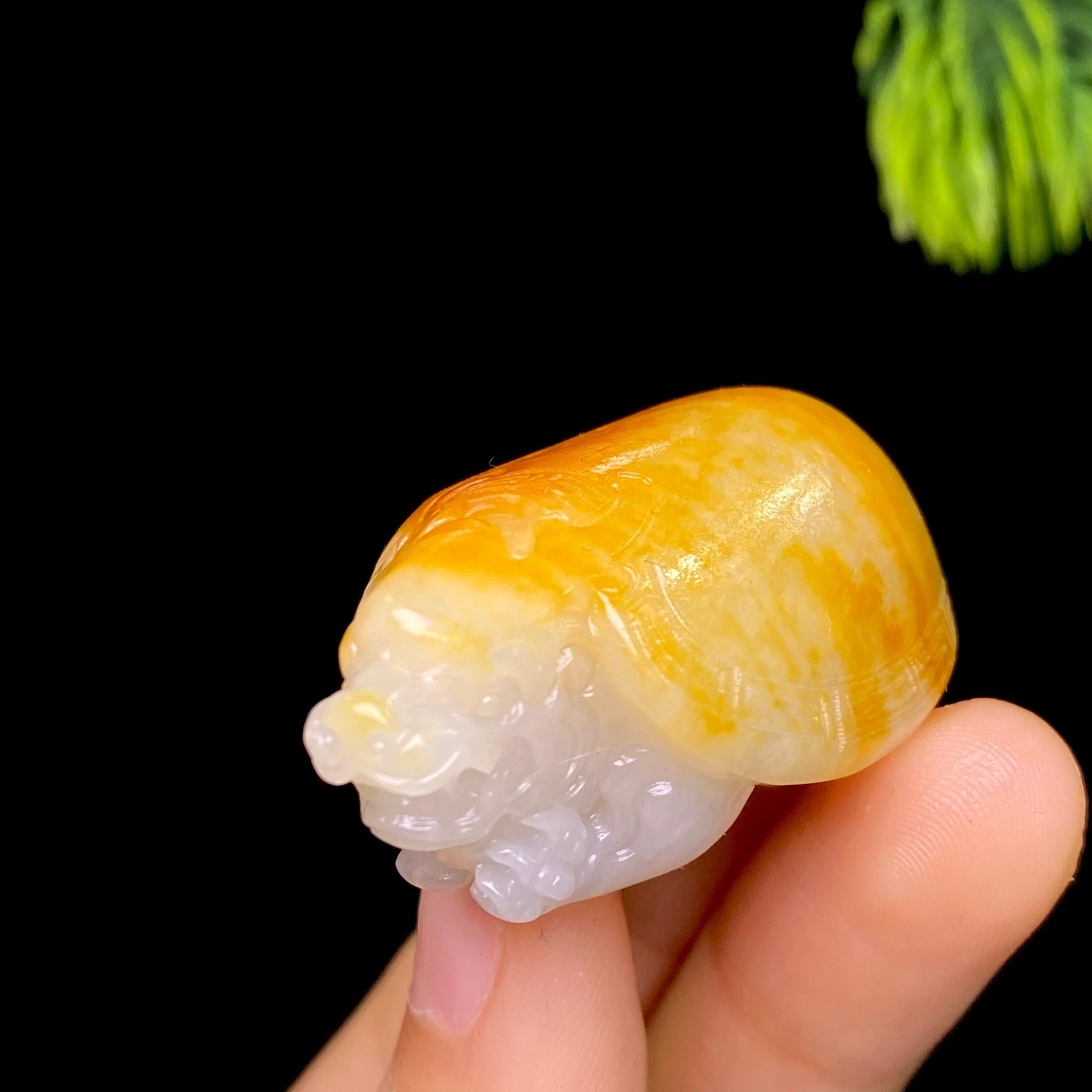 和田玉籽料龙龟（27.3g）