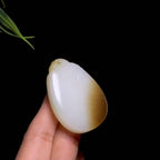 和田山料糖白玉竹叶无事牌（34.4g）