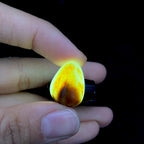和田玉聚黄皮籽料吊坠籽（6.2g）
