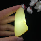 和田玉聚黑皮籽料原石（37.3g）