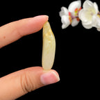 和田玉洒金皮籽料吊坠籽（13g）
