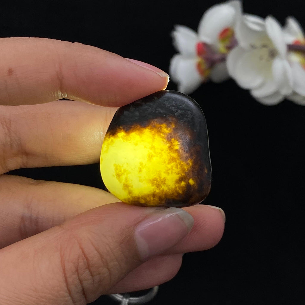 【超值推荐】和田玉秋梨黑皮籽料吊坠籽（15g）
