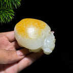 和田玉籽料黄皮龙龟（237.0g）
