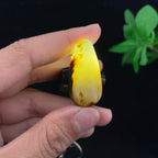 和田玉聚黄皮籽料吊坠籽（10.7g）