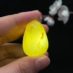 和田玉秋梨皮籽料吊坠籽（13.8g）