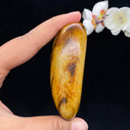 和田玉黄沁皮籽料（169.4g）