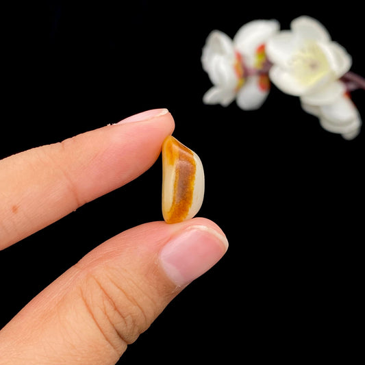 和田玉聚黄皮籽料戒面籽（3.1g）