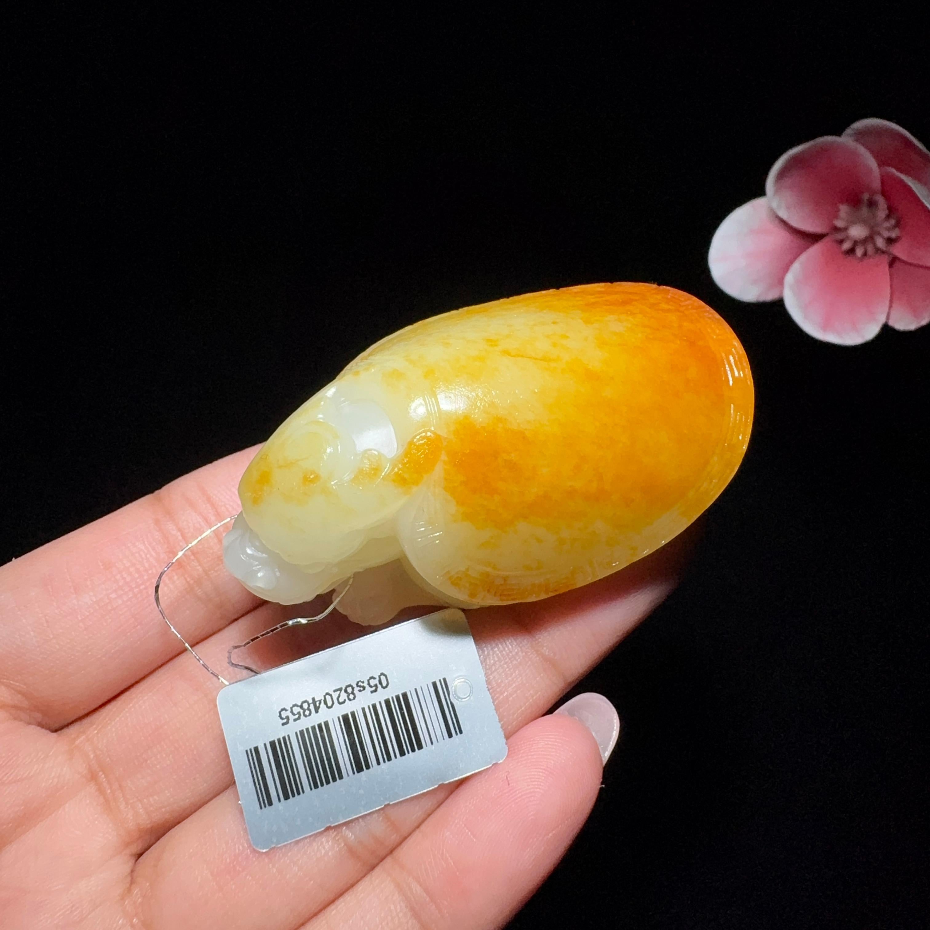 和田玉籽料龙龟挂件（62.3g）