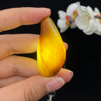 和田玉聚黄皮籽料挂件（18.8g）