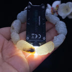 和田玉-秋梨皮籽料【罗汉】手串T2607133002（50.0g）