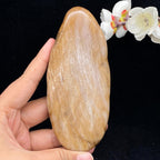 和田玉桃花玉带黄皮籽料手把件（297.3g）