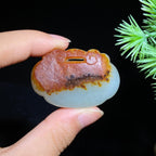 和田玉籽料独籽双面皮如意（25.0g）