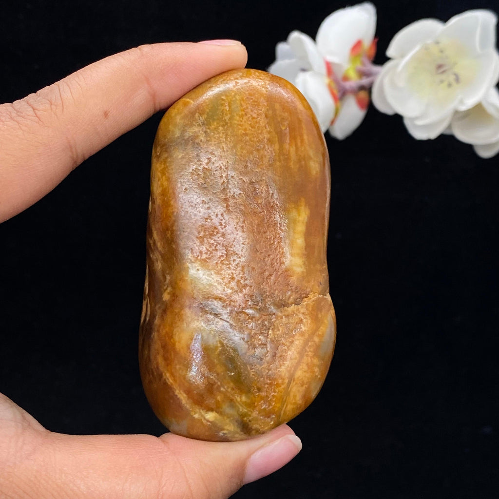 和田玉聚黄皮籽料手把件（144.1g）