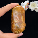 和田玉聚黄皮籽料手把件（144.1g）