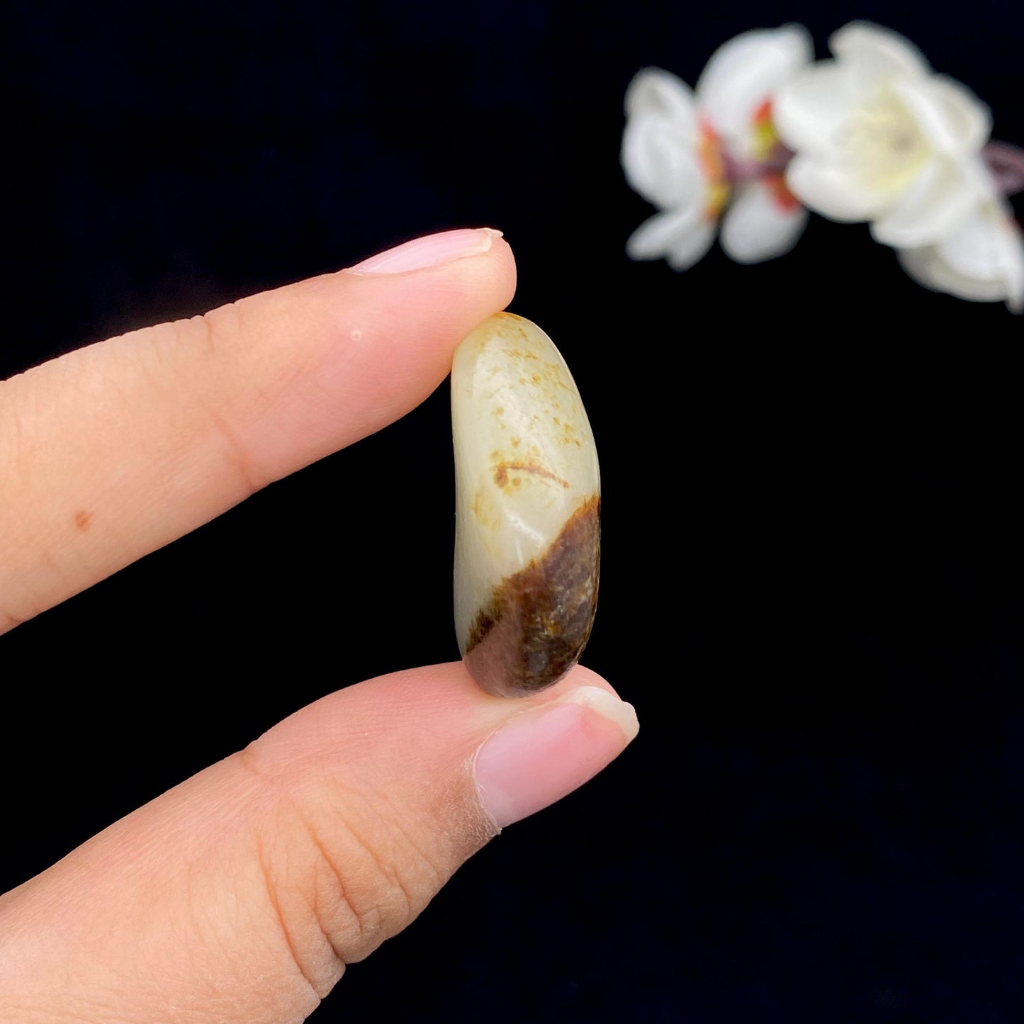 和田玉聚黄皮籽料吊坠籽（12.3g）