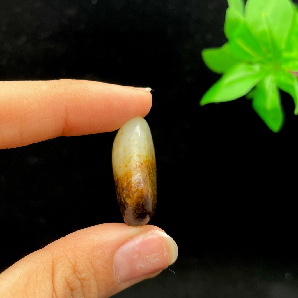 和田玉秋梨黑皮籽料（13.5g）