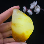 和田玉聚黄皮籽料手把件（76g）