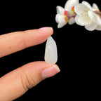 和田玉聚黄皮籽料挂件（30.9g）