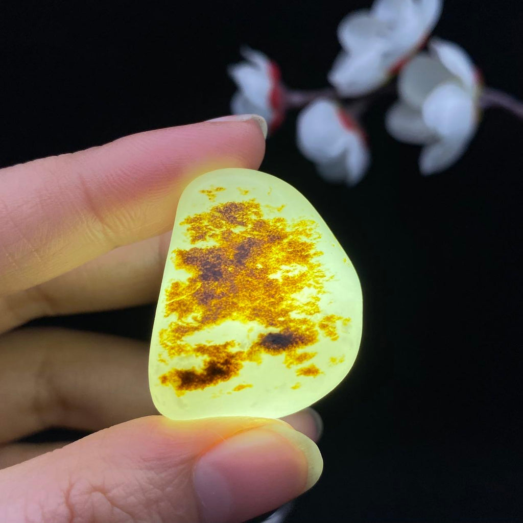 和田玉秋梨皮籽料（19g）