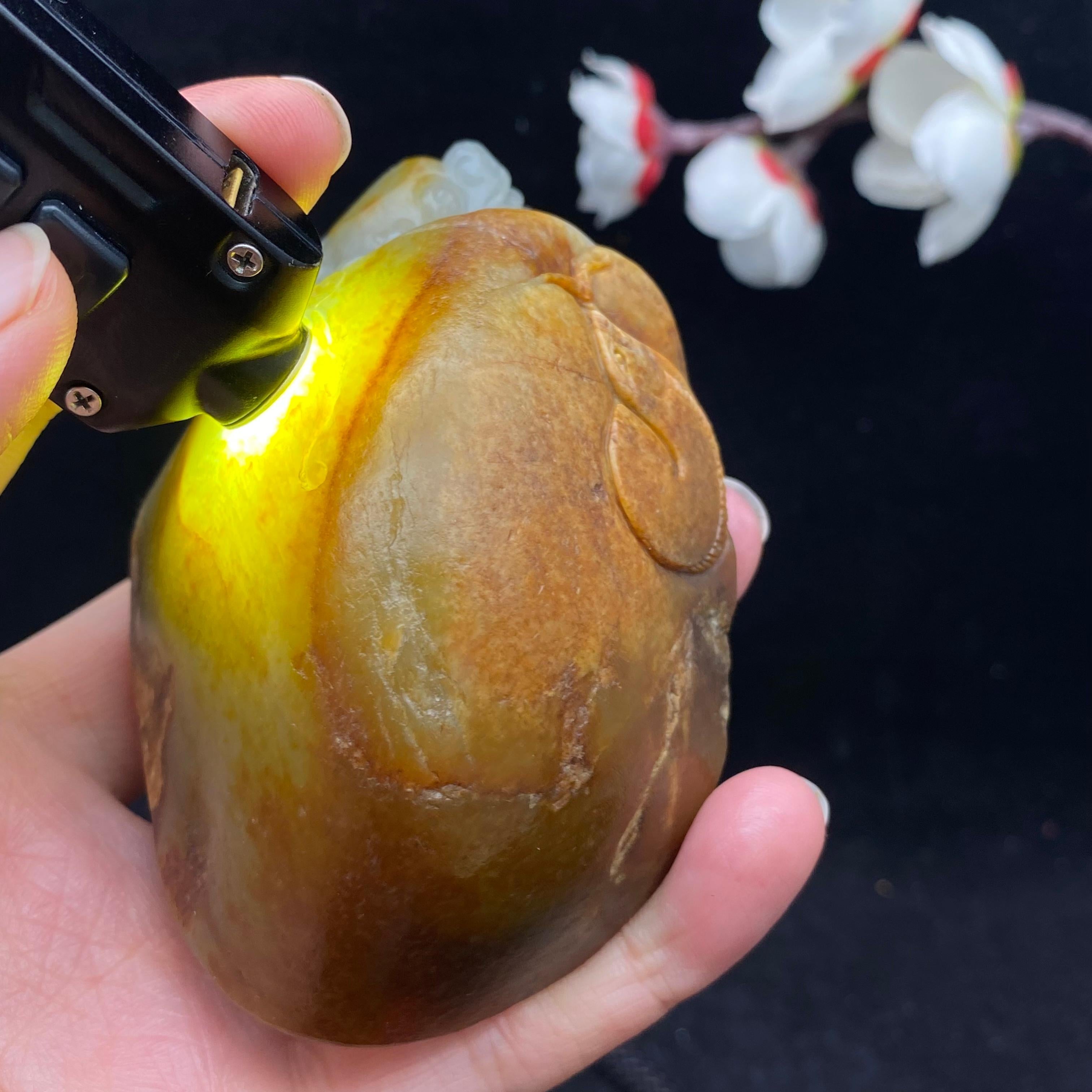 和田玉青花籽料【龙龟】手把件（268.2g）