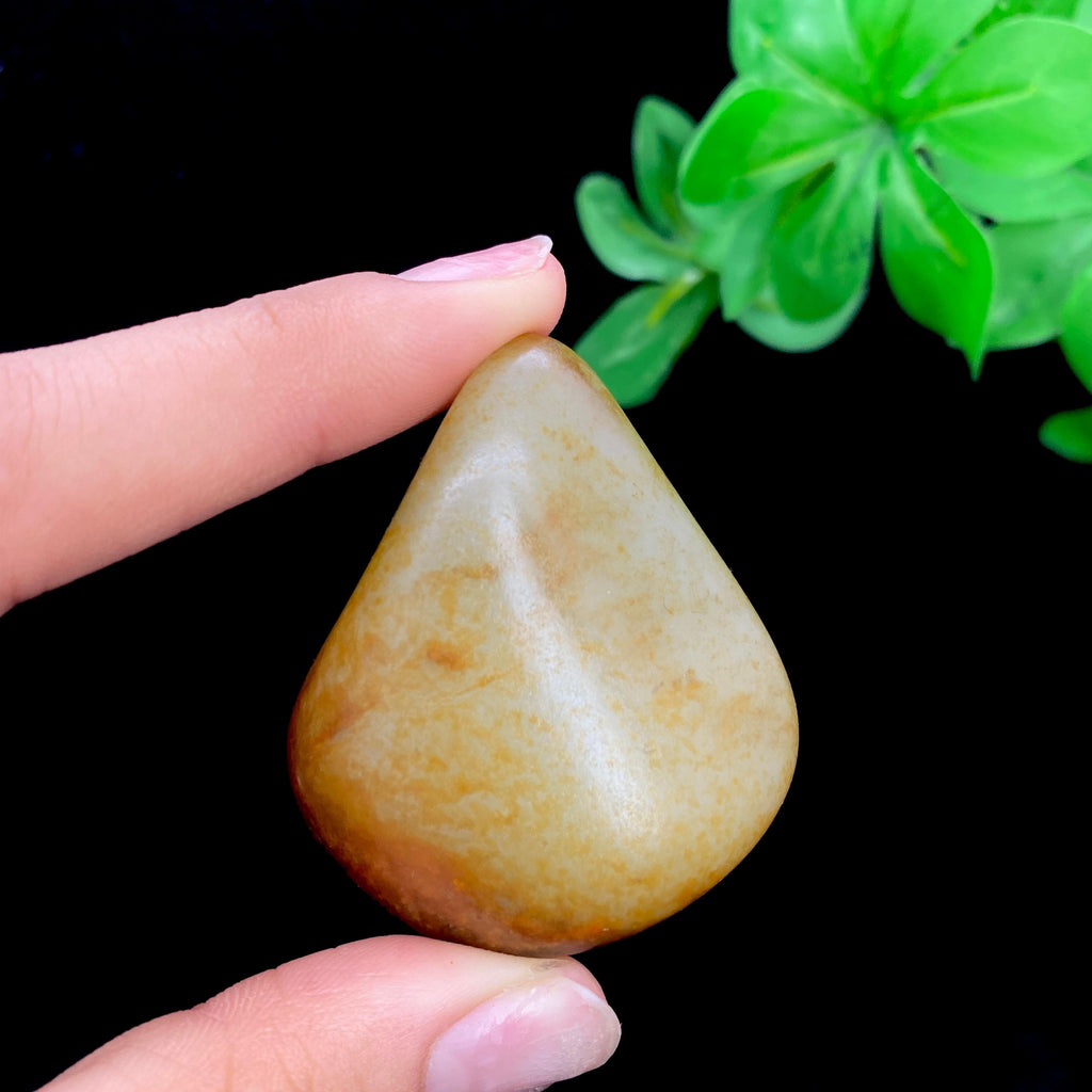 和田玉聚黄皮籽料手把件（62.4g）