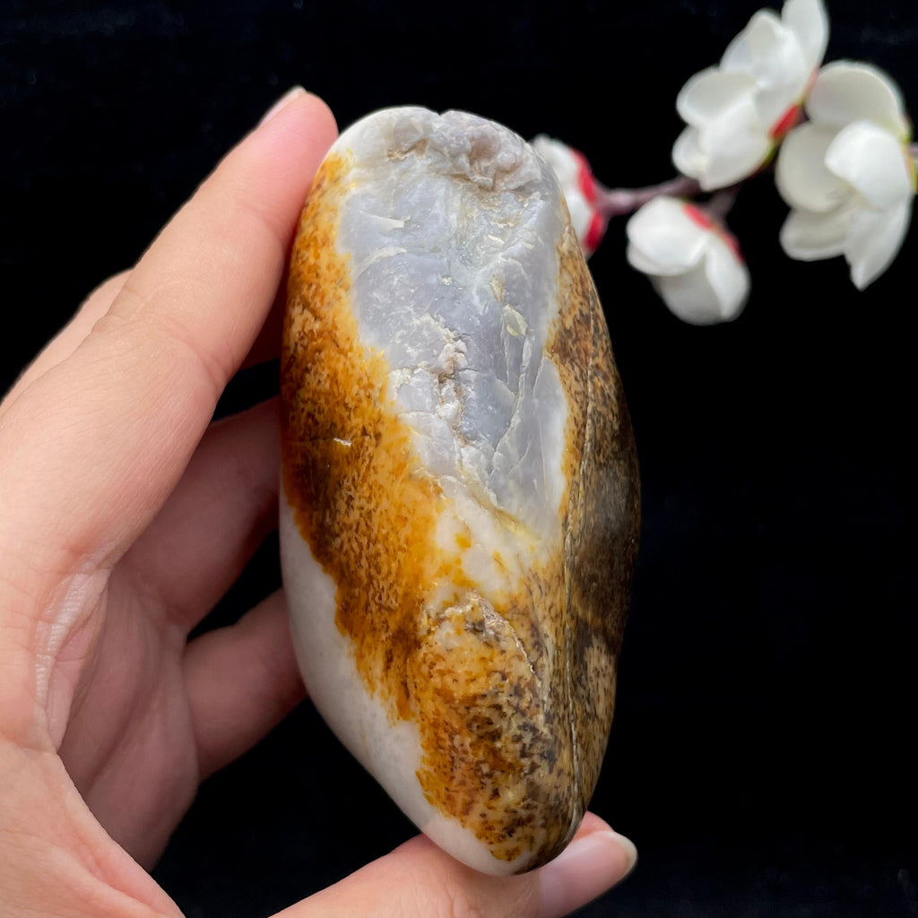 和田玉聚黄皮籽料（279g）