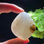 和田玉籽料龙（62.4g）
