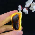 和田玉黑红皮籽料挂件（26.1g）