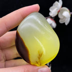 和田玉聚黑皮籽料手把件（109.7g）