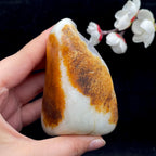 和田玉聚黄皮籽料（279g）