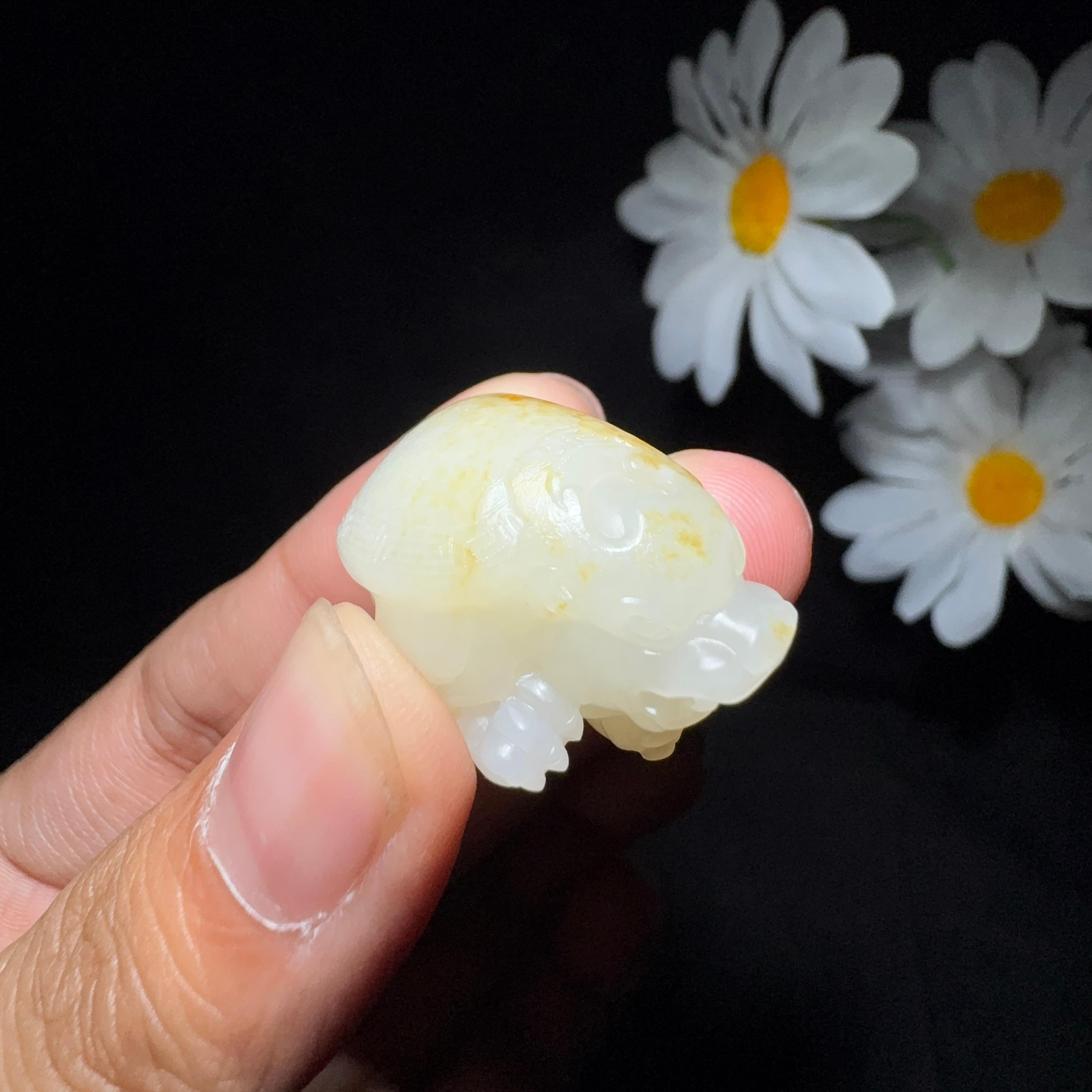 和田玉籽料挂件龙龟（14.5g）