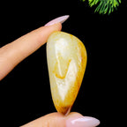 和田玉红皮籽料（66.9g）