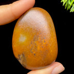 和田玉红沁皮籽料（54.7g）