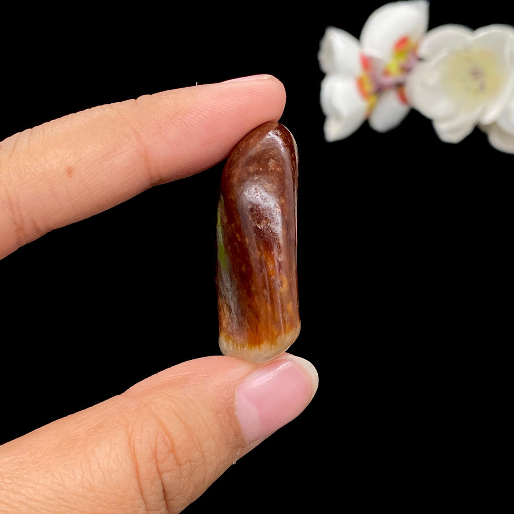 和田玉红沁皮籽料（18g）