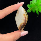 和田玉秋梨皮籽料手把件（67.3g）