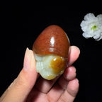 和田玉籽料龙龟（50.7g）