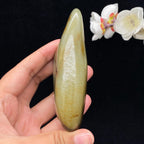 和田玉洒金皮籽料（257.7g）