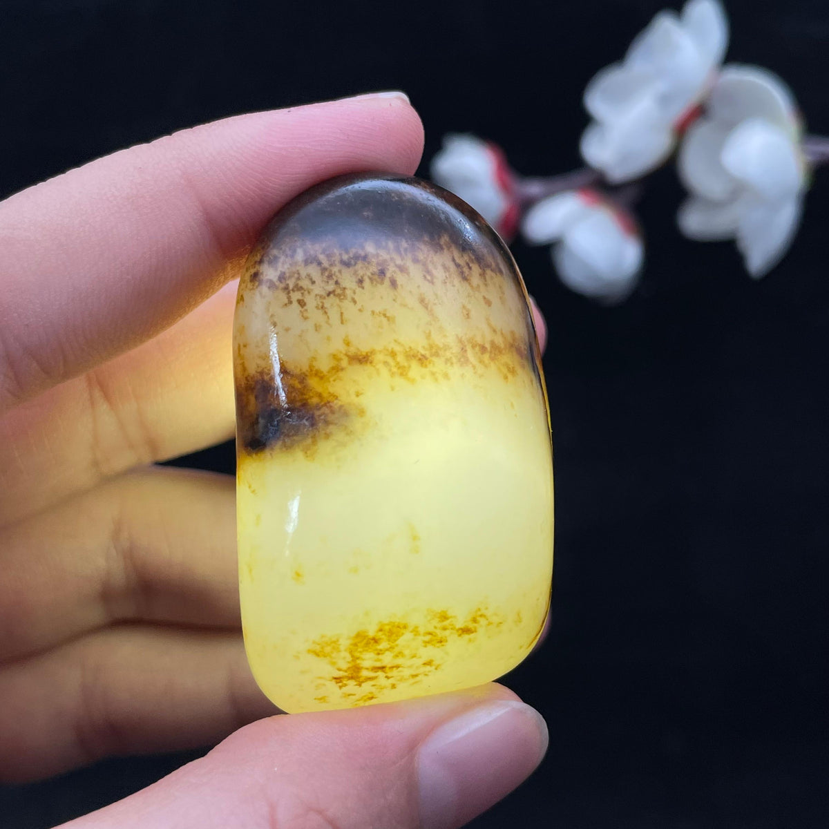 和田玉黑黄皮籽料（50.7g）