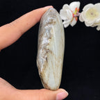 和田玉秋梨皮籽料（198.6g）
