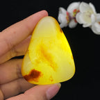 和田玉聚黄皮籽料大挂件（71.5g）